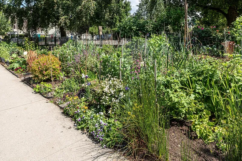 Claimed Ground: The Quiet Revolution Turning Neglected Urban Spaces Into Community Commons
